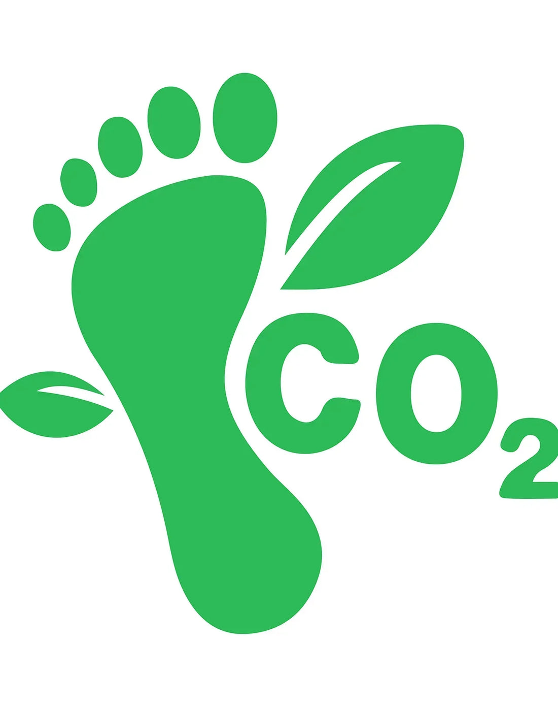 Green footprint with leaf elements and CO2 text symbolizing carbon footprint and eco-friendly resin wall art